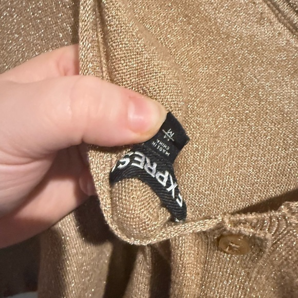 Express Shimmering Tan Long Sleeve Top - Picture 4 of 6